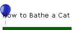 How to Bathe a Cat